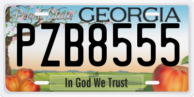 GA license plate PZB8555