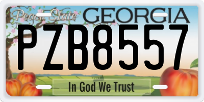 GA license plate PZB8557