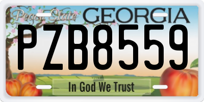 GA license plate PZB8559