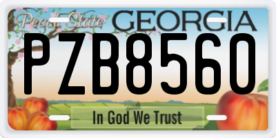 GA license plate PZB8560