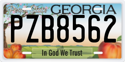 GA license plate PZB8562