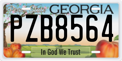 GA license plate PZB8564