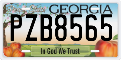 GA license plate PZB8565