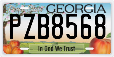 GA license plate PZB8568