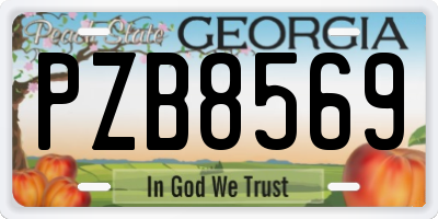 GA license plate PZB8569