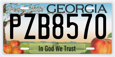GA license plate PZB8570