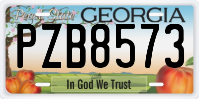 GA license plate PZB8573