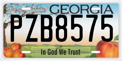 GA license plate PZB8575