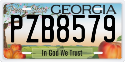 GA license plate PZB8579