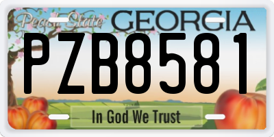 GA license plate PZB8581