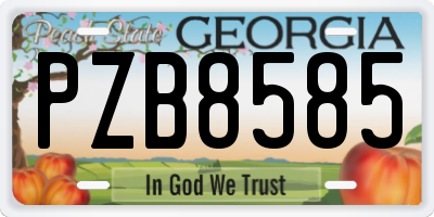 GA license plate PZB8585