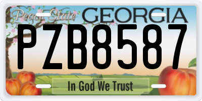GA license plate PZB8587