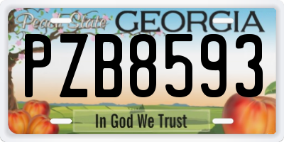 GA license plate PZB8593