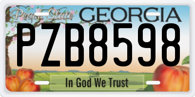 GA license plate PZB8598