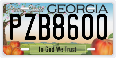 GA license plate PZB8600