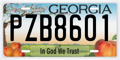 GA license plate PZB8601
