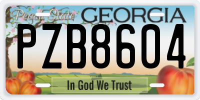 GA license plate PZB8604