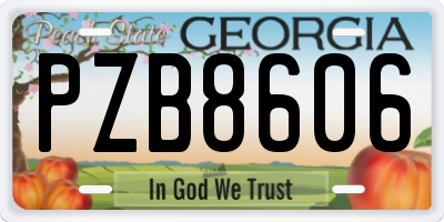 GA license plate PZB8606