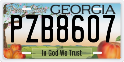 GA license plate PZB8607