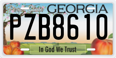 GA license plate PZB8610