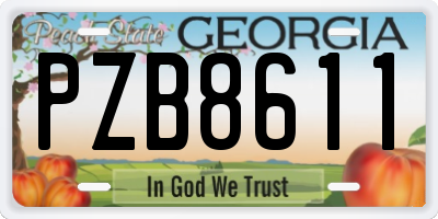 GA license plate PZB8611