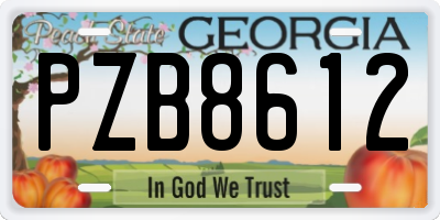 GA license plate PZB8612