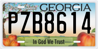 GA license plate PZB8614