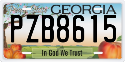 GA license plate PZB8615