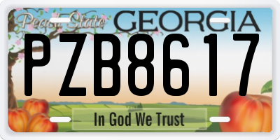 GA license plate PZB8617