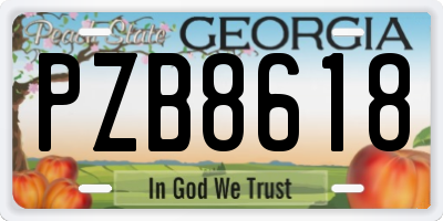 GA license plate PZB8618