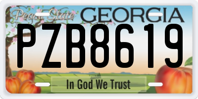 GA license plate PZB8619