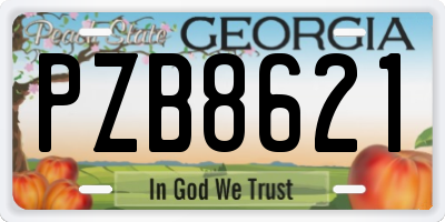 GA license plate PZB8621