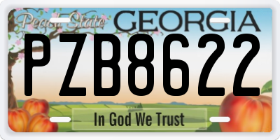 GA license plate PZB8622