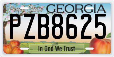 GA license plate PZB8625
