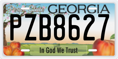 GA license plate PZB8627