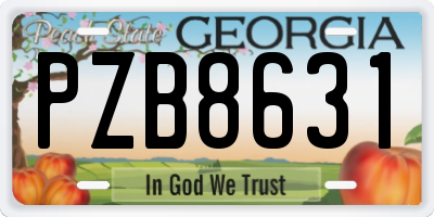 GA license plate PZB8631