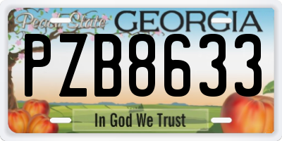 GA license plate PZB8633