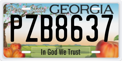 GA license plate PZB8637