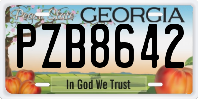 GA license plate PZB8642