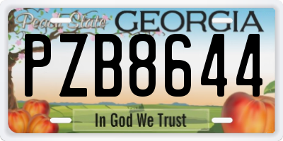 GA license plate PZB8644