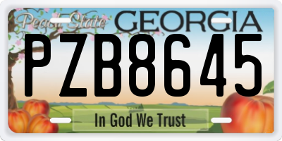 GA license plate PZB8645