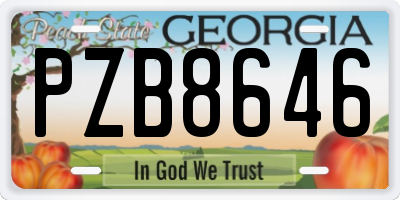 GA license plate PZB8646
