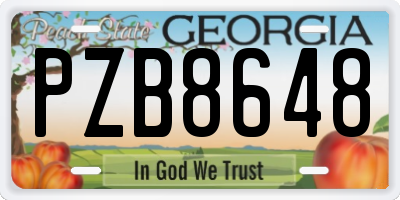 GA license plate PZB8648