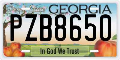 GA license plate PZB8650