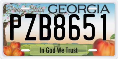 GA license plate PZB8651