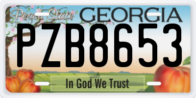 GA license plate PZB8653