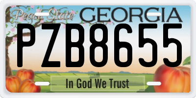 GA license plate PZB8655