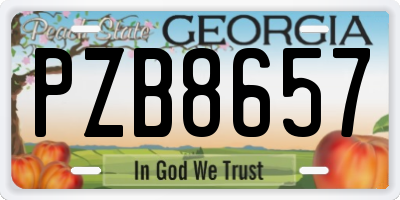 GA license plate PZB8657
