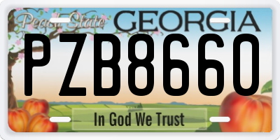 GA license plate PZB8660