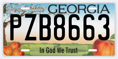 GA license plate PZB8663